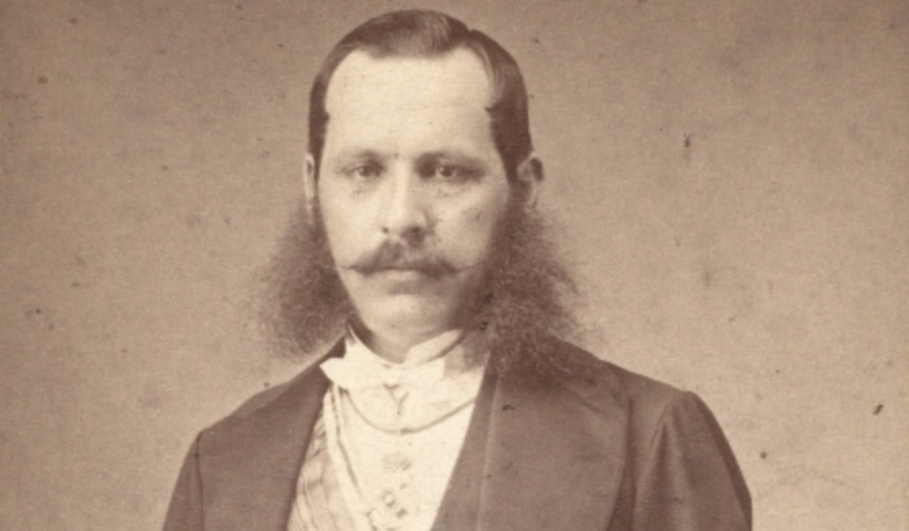 Јован Ристић политичар и дипломата