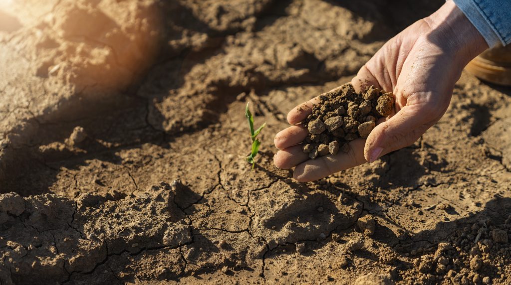 Ко заиста обрађује земљу добиће субвенцију