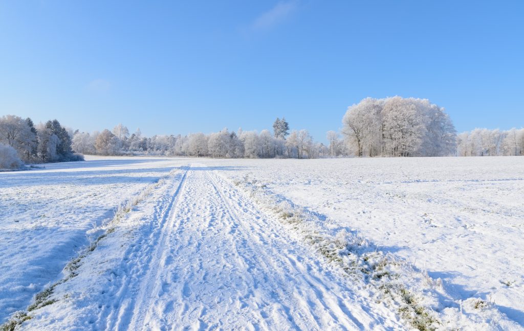 Из пролећа у зиму: Захлађење ће прво захватити ове делове