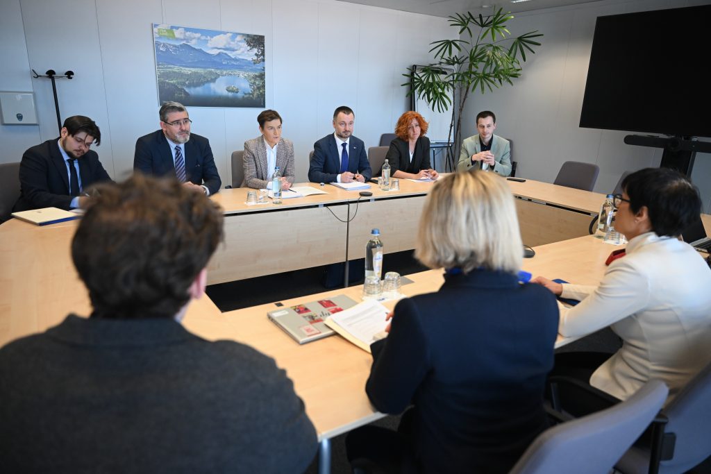 Брнабић у Бриселу: Србија одлучно наставља свој европски пут