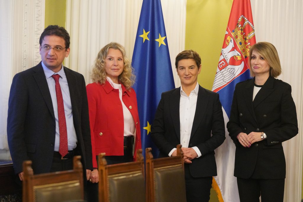 Брнабић са европарламентарцима о изборном процесу у Србији