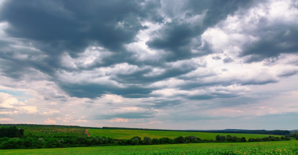 Прави пролећни дан: У Србији променљиво облачно, местимично са кишом и пљусковима