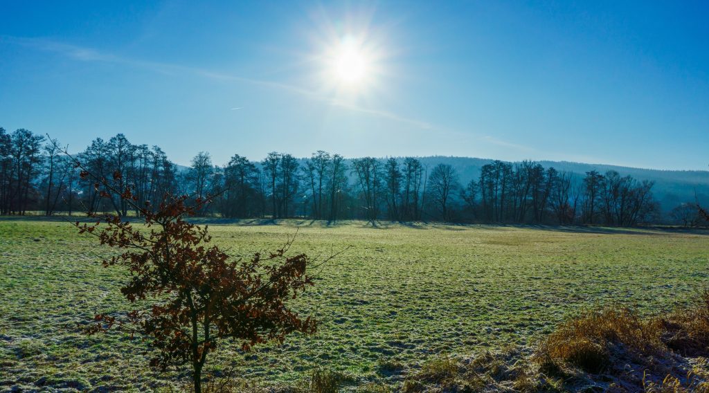 У Србији ујутру слаб мраз, у току дана значајно отопљење