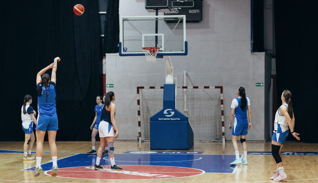 Павловић: Очекујем максимално озбиљан приступ против Исланда