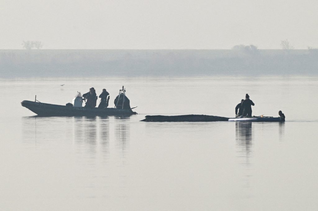 (ФОТО) Последњи покушај: Милионери финансирају спасавање насуканог кита Тимија у Немачкој
