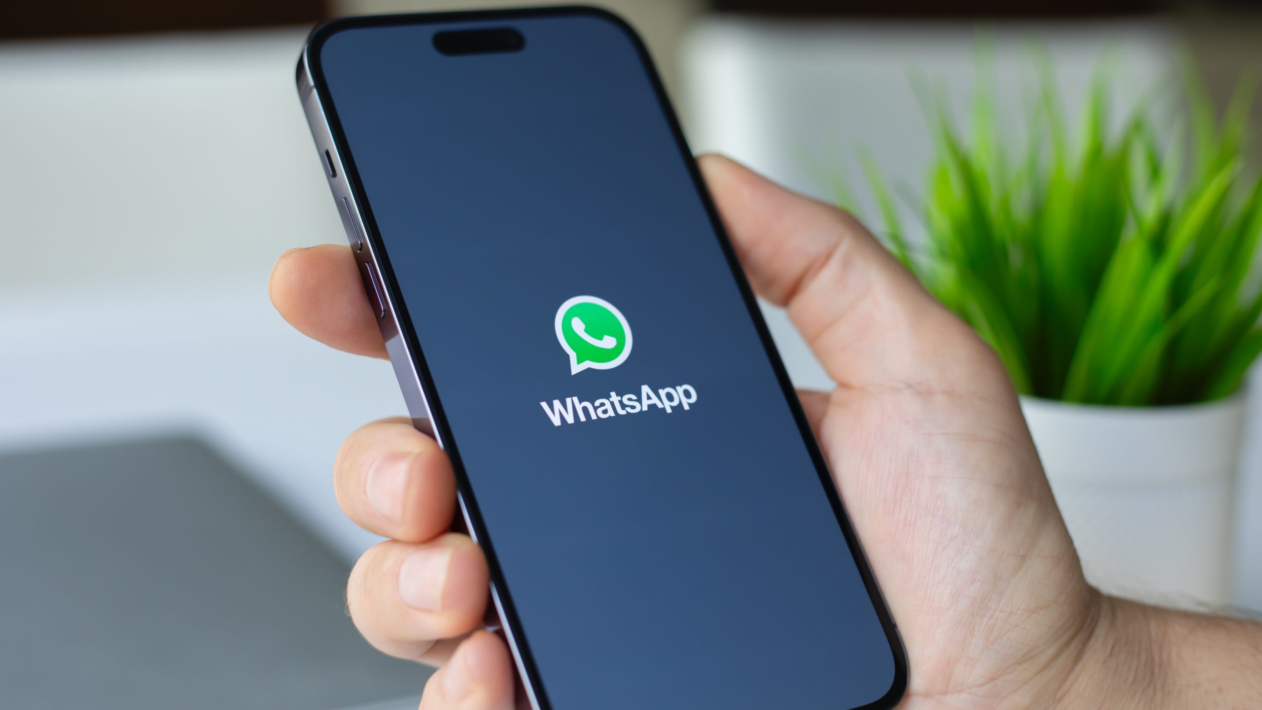 Кристално чисти гласовни и видео позиви: WhatsApp уводи изузетно корисну функцију