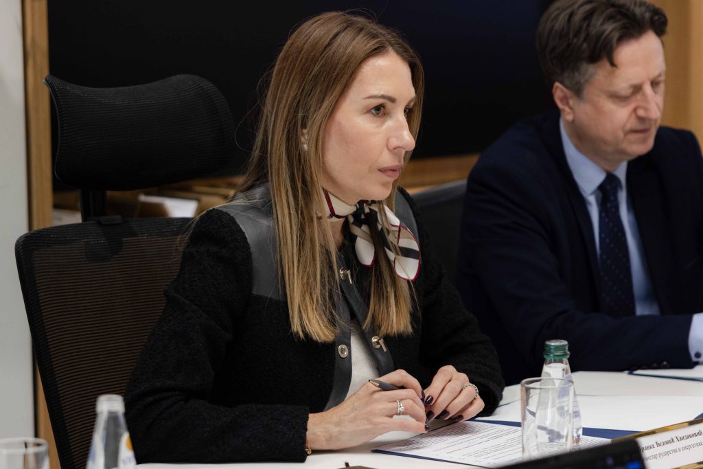 Ђедовић Хандановић: Србија до 2032. може бити спремна за изградњу нуклеарне електране