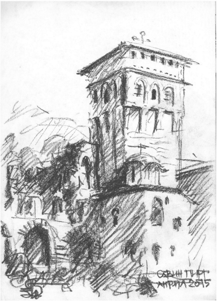 Савин Пирг, С. Мићић, 2015